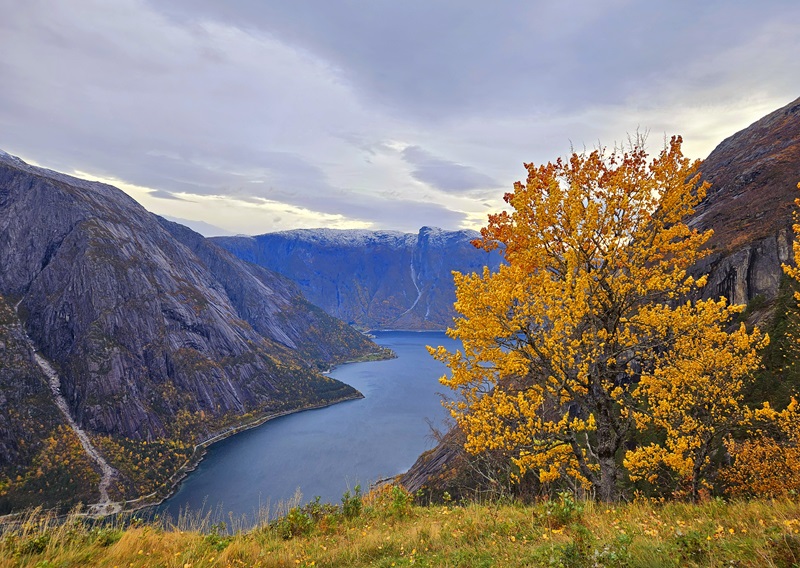 Sein haust i fjellet