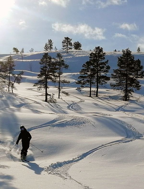 Oksenhalvøya vårvinter